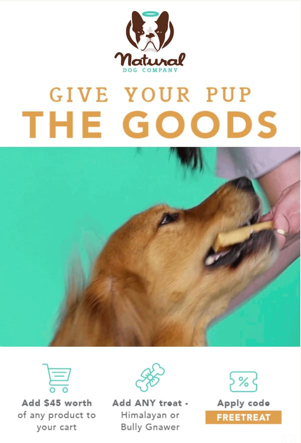 natural dog company niche marketing